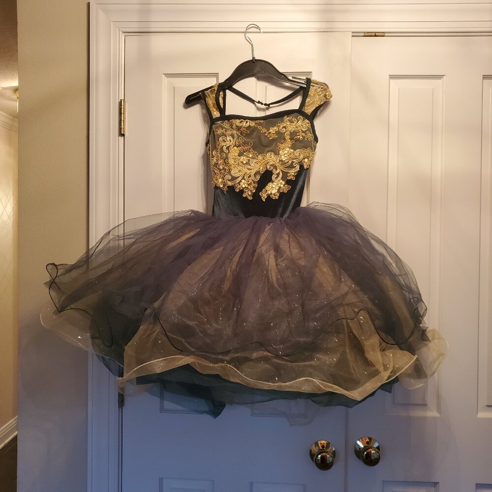 Revolution A Song for You Tutu Costume - Adult Small